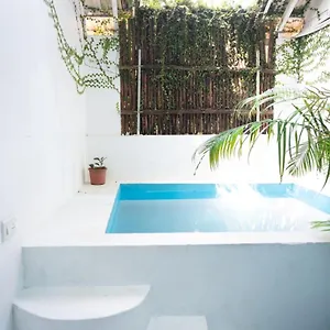 Calaila Premium Plunge Pool Hotel Varkala
